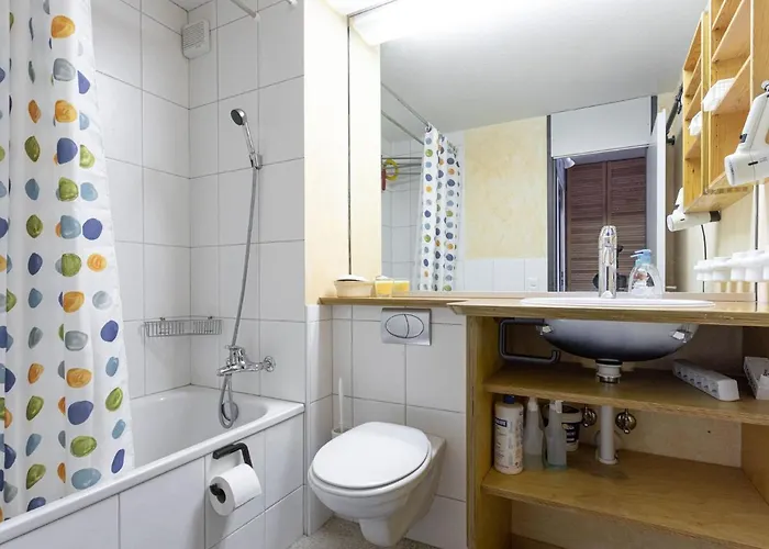 B 078 By Interhome Appartement Disentis